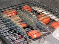 (30) 2007 Camping